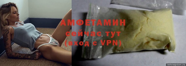 молекула духа Козельск