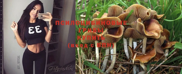 герыч Коряжма