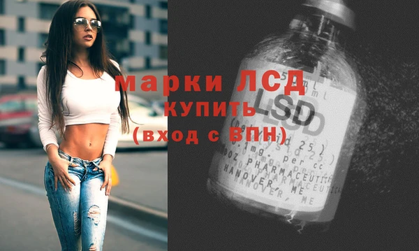 молекула духа Козельск