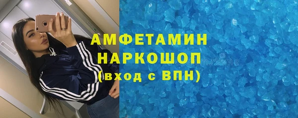 молекула духа Козельск
