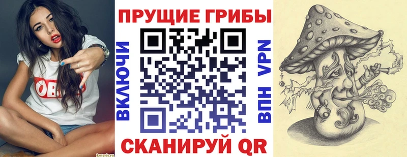 где можно купить наркотик  Мензелинск  Псилоцибиновые грибы мицелий 