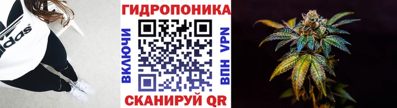 KRAKEN ССЫЛКА  Мензелинск  Канабис семена 